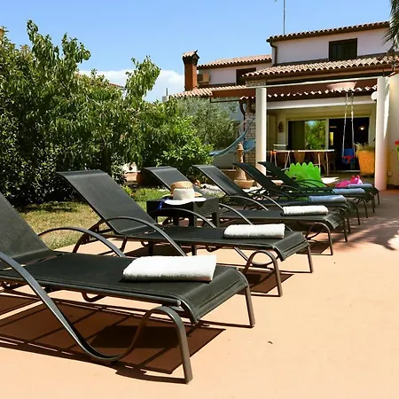 Holiday Margherita * Pula